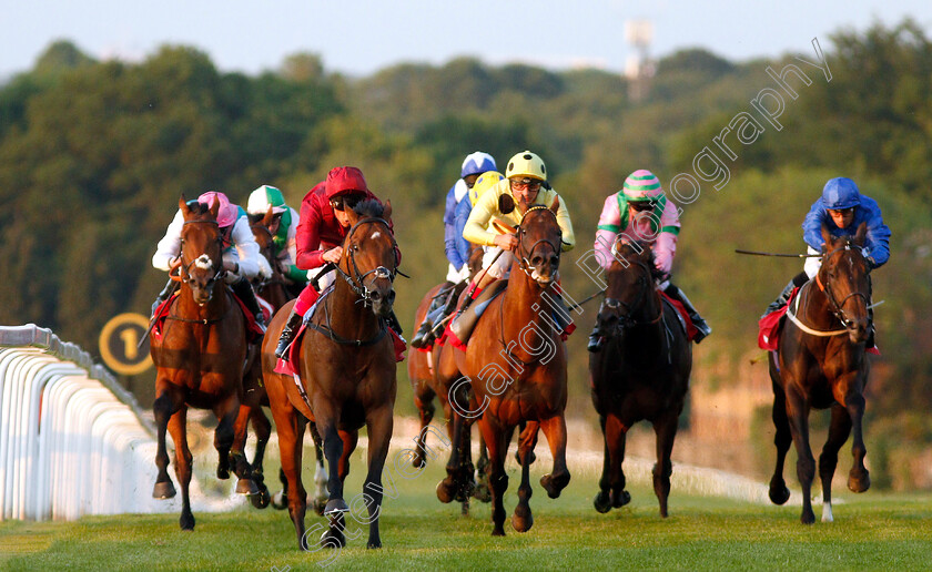 King-Of-Comedy-0003 
 KING OF COMEDY (Frankie Dettori) wins The Matchbook Low Commission Exchange Heron Stakes
Sandown 23 May 2019 - Pic Steven Cargill / Racingfotos.com