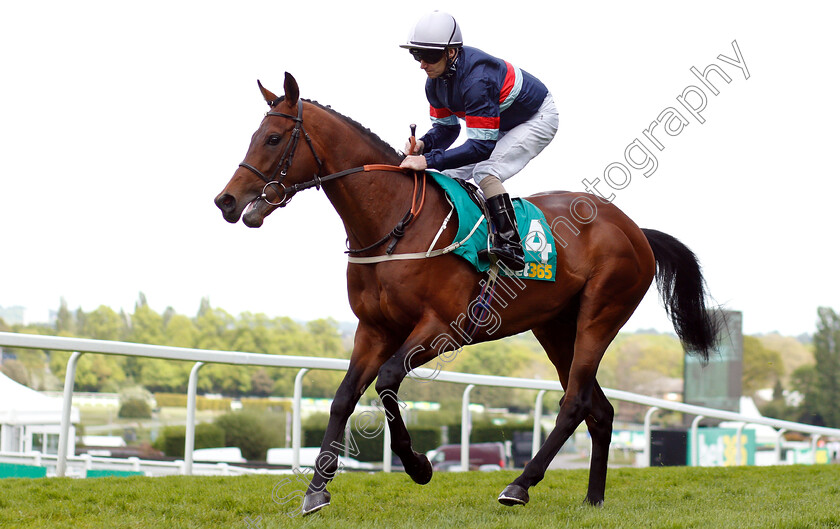 Persian-Moon-0001 
 PERSIAN MOON (Joe Fanning)
Sandown 26 Apr 2019 - Pic Steven Cargill / Racingfotos.com