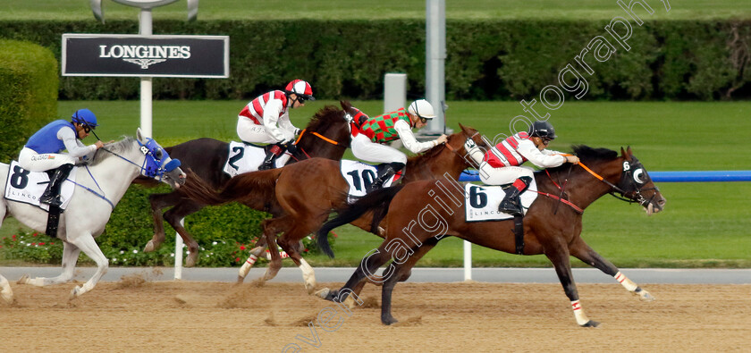 Game-Time-0003 
 GAME TIME (Sandro Paiva) wins The Lincoln Race for purebred arabians
Meydan 2 Feb 2024 - Pic Steven Cargill / Racingfotos.com