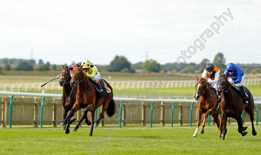 Subastar-0003 
 SUBASTAR (Andrea Atzeni) wins The British Stallion Studs EBF Maiden Stakes
Newmarket 23 Sep 2021 - Pic Steven Cargill / Racingfotos.com