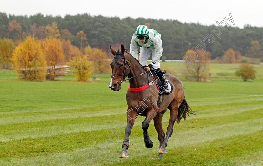 Gone-To-Texas-0002 
 GONE TO TEXAS (Ciaran Gethings)
Market Rasen 17 Nov 2022 - Pic Steven Cargill / Racingfotos.com