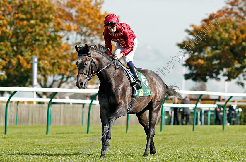 Roaring-Lion-0002 
 ROARING LION (Oisin Murphy) winner of The Juddmonte Royal Lodge Stakes Newmarket 30 Sep 2017 - Pic Steven Cargill / Racingfotos.com