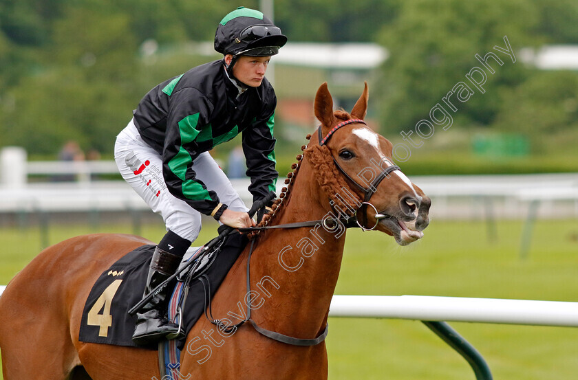 Ivy-Avenue-0001 
 IVY AVENUE (Alex Jary)
Nottingham 30 May 2023 - Pic Steven Cargill / Racingfotos.com