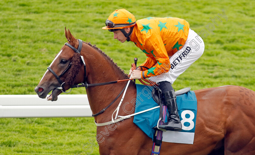 Hope-You-Can-Run-0001 
 HOPE YOU CAN RUN (Richard Kingscote)
York 18 May 2023 - Pic Steven Cargill / Racingfotos.com