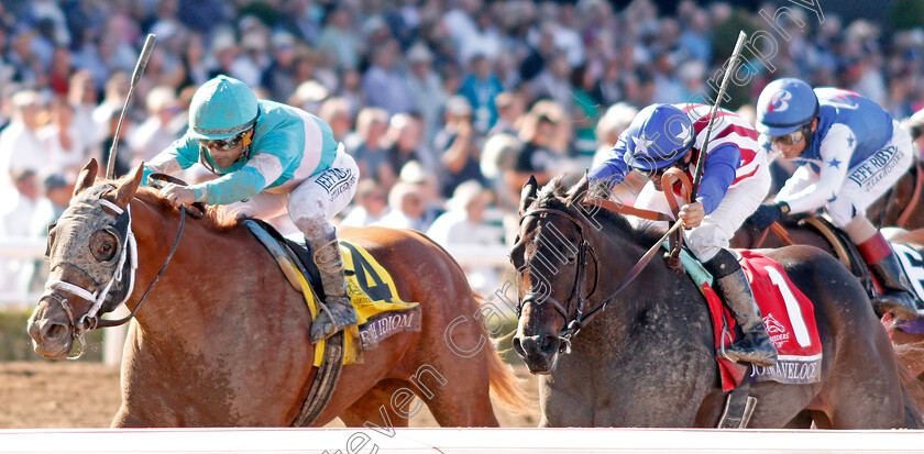 British-Idiom-0003 
 BRITISH IDIOM (left, Javier Castellano) beats DONNA VELOCE (right) in The Breeders' Cup Juvenile Fillies
Santa Anita USA 1 Nov 2019 - Pic Steven Cargill / Racingfotos.com