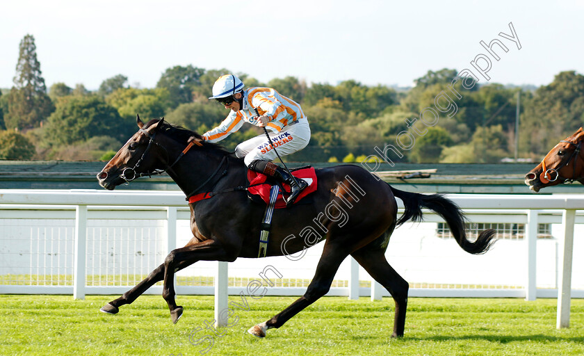 Spanish-Blaze-0002 
 SPANISH BLAZE (Trevor Whelan) wins The Virgin Bet Daily Extra Places Nursery
Sandown 2 Sep 2023 - Pic Steven Cargill / Racingfotos.com