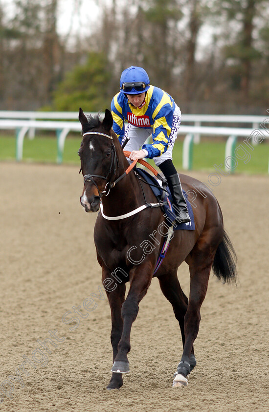 Outofthequestion-0001 
 OUTOFTHEQUESTION (David Probert)
Lingfield 23 Mar 2019 - Pic Steven Cargill / Racingfotos.com