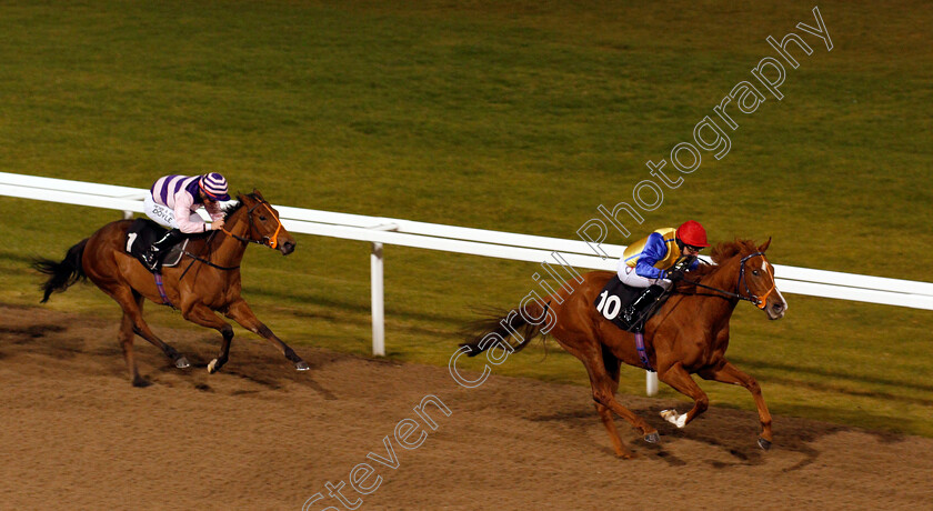 Restless-Rose-0004 
 RESTLESS ROSE (P J McDonald) beats GHEPARDO (left) in The Bet totequadpot At betfred.com Fillies Novice Stakes Div2 Chelmsford 1 Dec 2017 - Pic Steven Cargill / Racingfotos.com