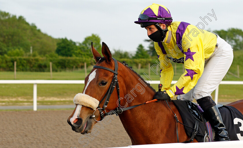 Cassiopeia-Dream-0001 
 CASSIOPEIA DREAM (Josephine Gordon)
Chelmsford 3 Jun 2021 - Pic Steven Cargill / Racingfotos.com