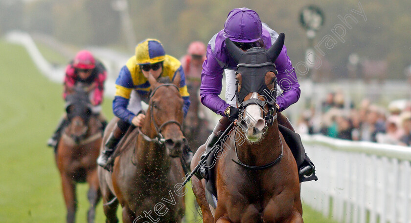 Atalanta s-Boy-0004 
 ATALANTA'S BOY (Thomas Greatrex) wins The Birra Moretti Handicap
Goodwood 25 Sep 2019 - Pic Steven Cargill / Racingfotos.com