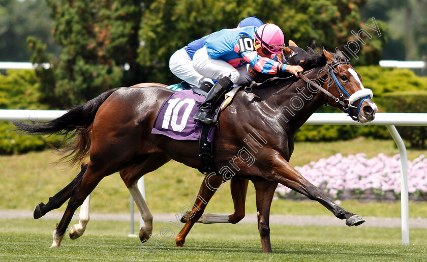 Noble-Jewel-0004 
 NOBLE JEWEL (Joel Rosario) wins Maiden
Belmont Park USA 7 Jun 2019 - Pic Steven Cargill / Racingfotos.com