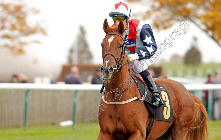 Blue-Skyline-0001 
 BLUE SKYLINE (Gerald Mosse)
Newmarket 23 Oct 2019 - Pic Steven Cargill / Racingfotos.com