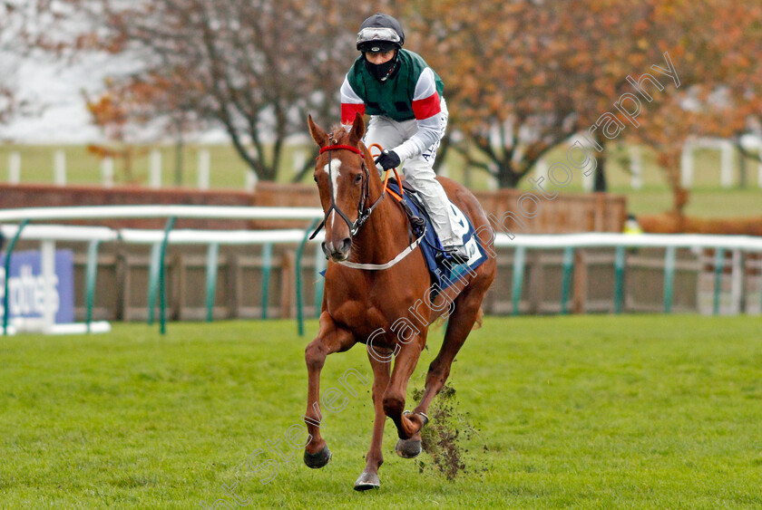 The-Flying-Ginger-0001 
 THE FLYING GINGER (Ben Curtis)
Newmarket 31 Oct 2020 - Pic Steven Cargill / Racingfotos.com