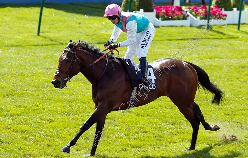 Equilateral-0002 
 EQUILATERAL (Oisin Murphy)
Newmarket 4 May 2019 - Pic Steven Cargill / Racingfotos.com