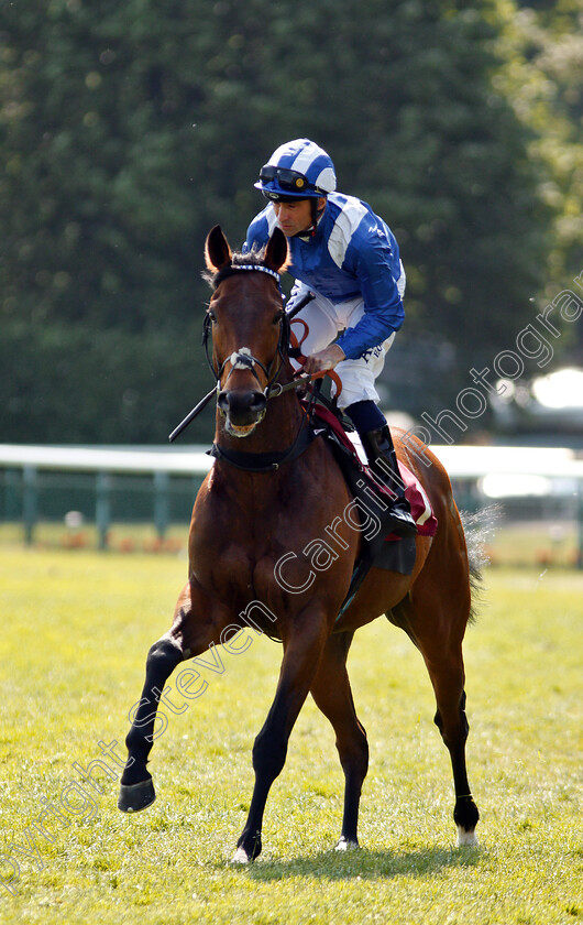 Battaash-0001 
 BATTAASH (Dane O'Neill) before winning The Armstrong Aggregates Temple Stakes
Haydock 26 May 2018 - Pic Steven Cargill / Racingfotos.com