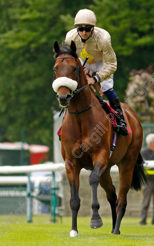 Gis-A-Sub-0001 
 GIS A SUB (Kevin Stott)
Haydock 21 May 2022 - Pic Steven Cargill / Racingfotos.com