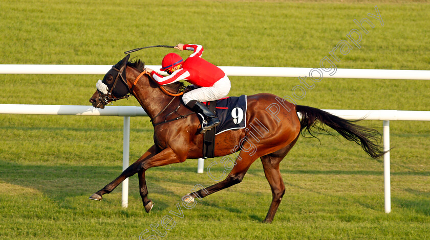 Sonja-Henie-0001 
 SONJA HENIE (John Egan) wins The Bahrain Economic Development Board Cup
Sakhir Racecourse, Bahrain 19 Nov 2021 - Pic Steven Cargill / Racingfotos.co