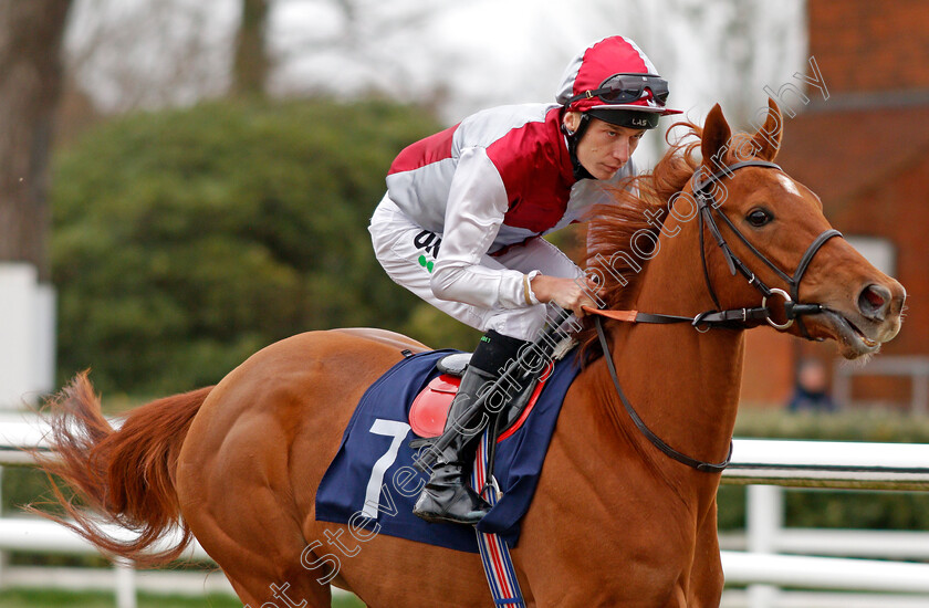 Sweet-Talked-0002 
 SWEET TALKED (Luke Morris)
Lingfield 22 Feb 2020 - Pic Steven Cargill / Racingfotos.com