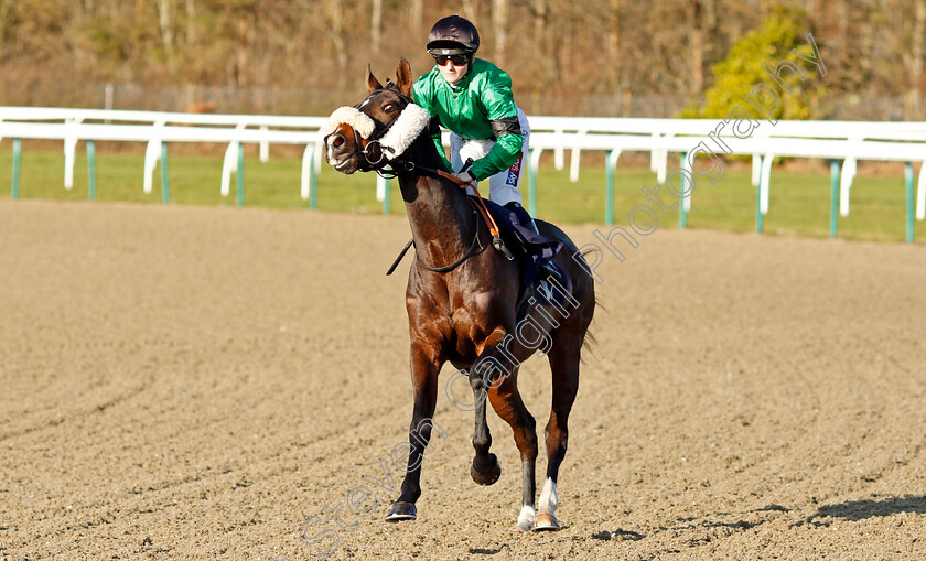 Baby-Steps-0001 
 BABY STEPS (Hollie Doyle)
Lingfield 10 Jan 2020 - Pic Steven Cargill / Racingfotos.com