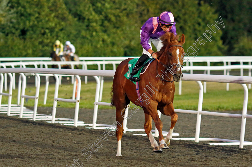 Into-Battle-0001 
 INTO BATTLE (Tom Marquand)
Kempton 28 Aug 2024 - Pic Steven Cargill / Racingfotos.com