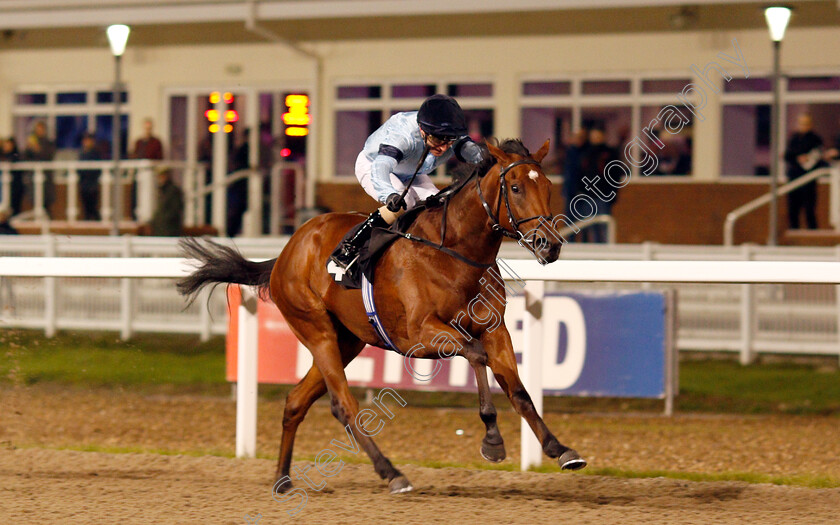 Fantail-0008 
 FANTAIL (Joe Fanning) wins The Bet totetrifecta At totesport.com EBF Fillies Novice Stakes
Chelmsford 19 Nov 2019 - Pic Steven Cargill / Racingfotos.com