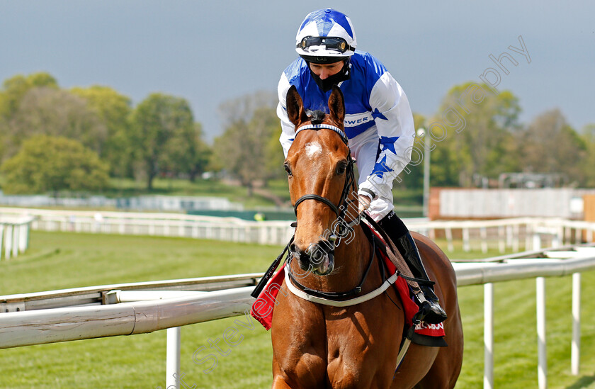 Sunday-Sovereign-0001 
 SUNDAY SOVEREIGN (Paul Mulrennan)
York 13 May 2021 - Pic Steven Cargill / Racingfotos.com