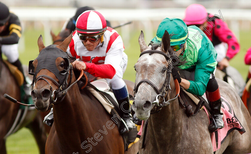 Homerique-0007 
 HOMERIQUE (right, Irad Ortiz) beats COMPETITIONOFIDEAS (left) in The New York Stakes
Belmont Park USA, 7 Jun 2019 - Pic Steven Cargill / Racingfotos.com