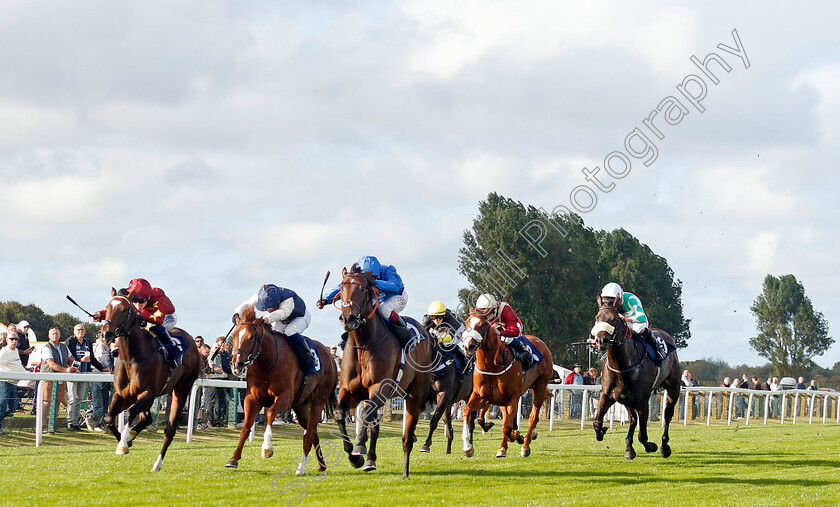 Summer-Of-Love-0002 
 SUMMER OF LOVE (Oisin Murphy) wins The Join Moulton Racing Syndicate Fillies Handicap
Yarmouth 17 Sep 2024 - Pic Steven Cargill / Racingfotos.com