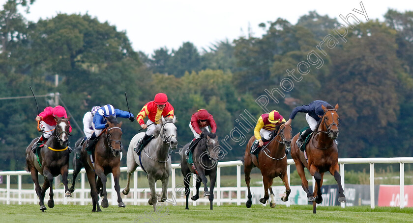 Adelaide-River-0005 
 ADELAIDE RIVER (right, Ryan Moore) beats AL AASY (2nd left) and LAYFAYETTE (left) in The Paddy Power Stakes
Leopardstown 9 Sep 2023 - Pic Steven Cargill / Racingfotos.com