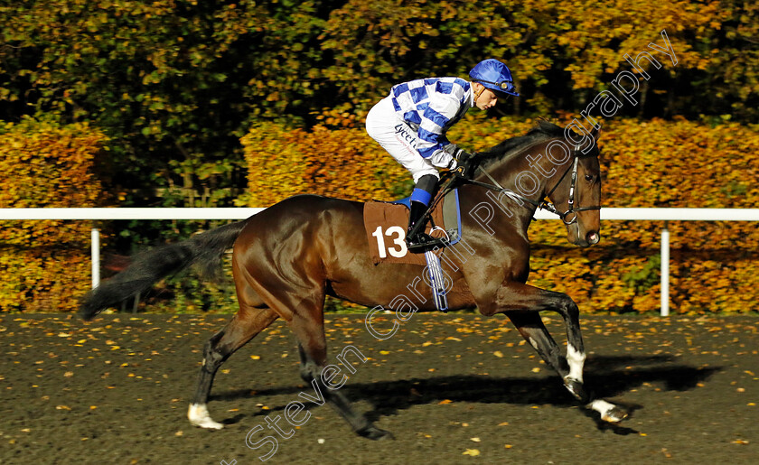 War-Director-0001 
 WAR DIRECTOR (Benoit de la Sayette)
Kempton 15 Nov 2023 - Pic Steven Cargill / Racingfotos.com