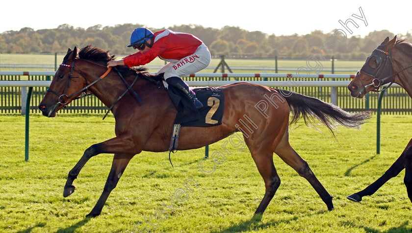 Bashkirova-0005 
 BASHKIROVA (Tom Marquand) wins The Devils Dyke Fillies Handicap
Newmarket 20 Oct 2021 - Pic Steven Cargill / Racingfotos.com