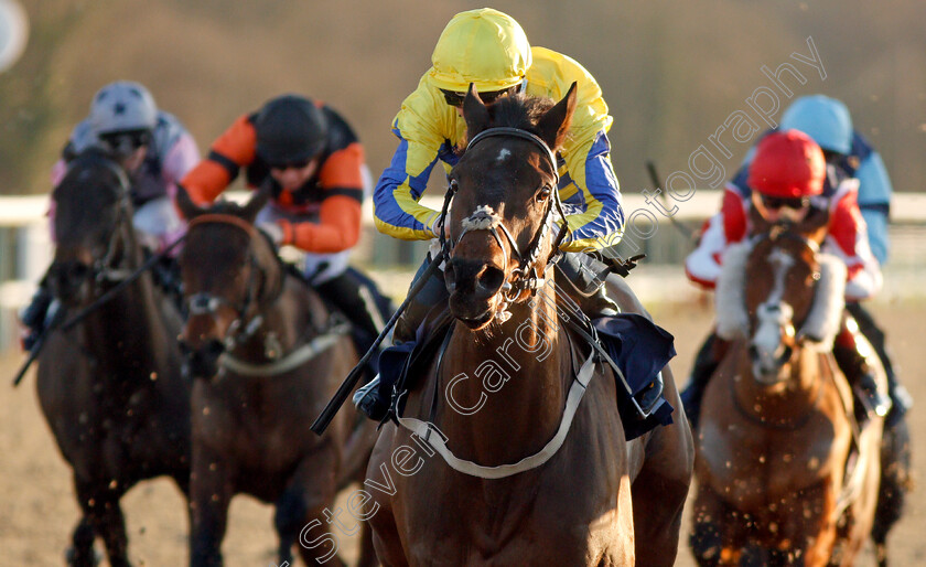 Noble-Peace-0005 
 NOBLE PEACE (David Probert) wins The Play 4 To Score At Betway Handicap
Lingfield 10 Jan 2020 - Pic Steven Cargill / Racingfotos.com