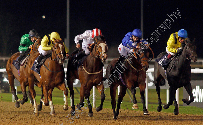 Victory-Heights-0002 
 VICTORY HEIGHTS (2nd left, P J McDonald) beats MIGHTY GURKHA (2nd right) ZAMAANI (left) and YAZAMAN (right) in The Ladbrokes Watch Racing Online For Free Conditions Stakes
Wolverhampton 5 Dec 2020 - Pic Steven Cargill / Racingfotos.com