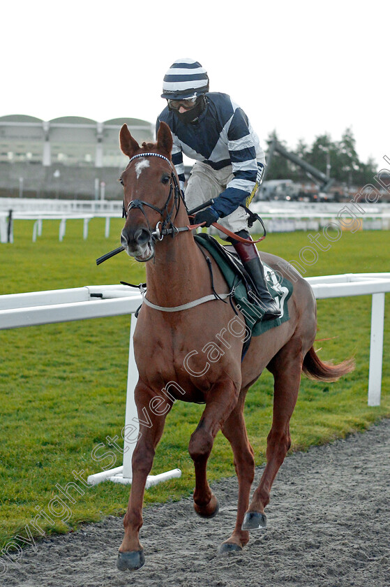 Good-Risk-At-All-0001 
 GOOD RISK AT ALL (Sam Twiston-Davies) winner of The High Sherifff Of Gloucestershire Standard Open National Hunt Flat Race
Cheltenham 15 Nov 2020 - Pic Steven Cargill / Racingfotos.com