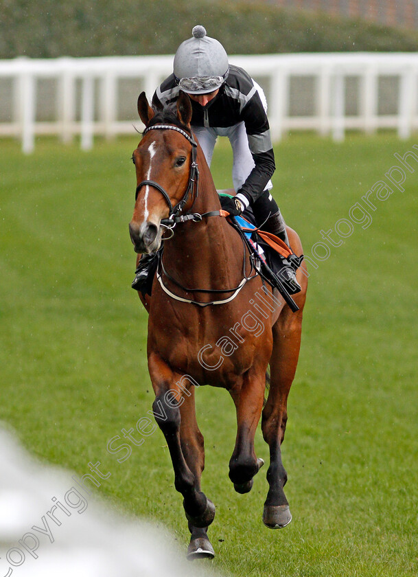 War-Of-Courage-0001 
 WAR OF COURAGE (Rossa Ryan)
Ascot 28 Apr 2021 - Pic Steven Cargill / Racingfotos.com