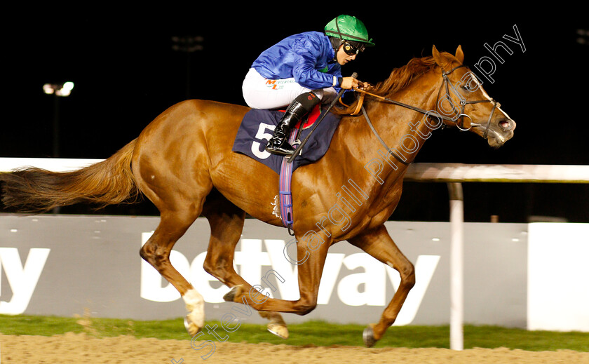 Hathal-0008 
 HATHAL (Nicola Currie) wins The Betway Conditions Stakes
Wolverhampton 7 Jan 2019 - Pic Steven Cargill / Racingfotos.com