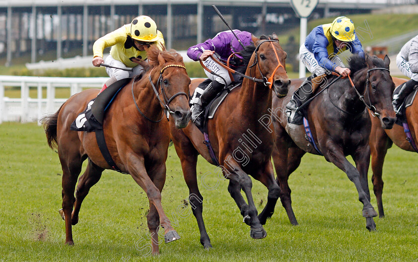 Oh-This-Is-Us-0004 
 OH THIS IS US (centre, Tom Marquand) beats PRINCE EIJI (left) and SOLID STONE (right) in The Charlie Waller Trust Paradise Stakes
Ascot 28 Apr 2021 - Pic Steven Cargill / Racingfotos.com