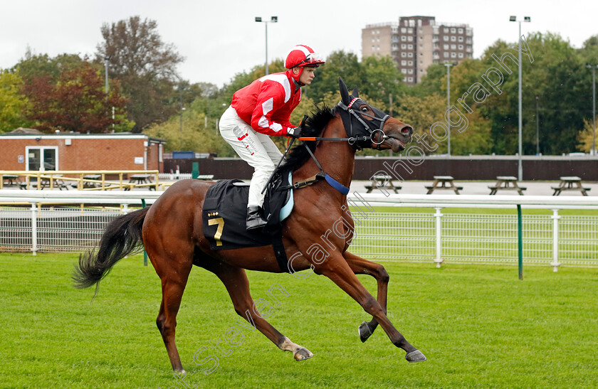 I-Am-The-Fox-0001 
 I AM THE FOX (Alex Jary)
Nottingham 11 Oct 2023 - Pic Steven Cargill / Racingfotos.com