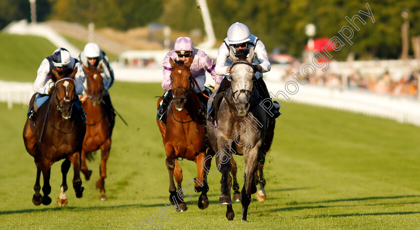 Misty-Dancer-0004 
 MISTY DANCER (Harry Burns) wins The William Hill Pick Your Places Maiden Fillies Stakes
Goodwood 26 Aug 2022 - Pic Steven Cargill / Racingfotos.com