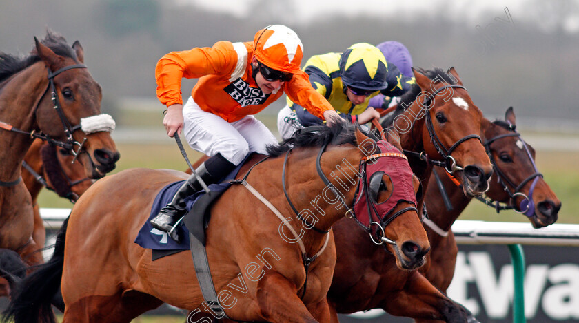 Goring-0007 
 GORING (Charles Bishop) wins The Play For Free At sunbets.co.uk/vegas Handicap Lingfield 13 Jan 2018 - Pic Steven Cargill / Racingfotos.com