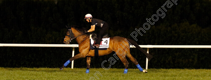 Trawlerman-0002 
 TRAWLERMAN training for the Dubai Gold Cup
Meydan, Dubai, 23 Mar 2023 - Pic Steven Cargill / Racingfotos.com