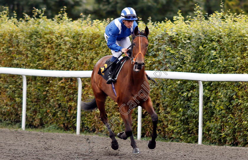 Khibrah-0001 
 KHIBRAH (Jim Crowley)
Kempton 15 Aug 2018 - Pic Steven Cargill / Racingfotos.com