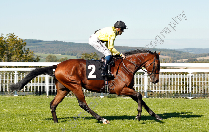 Earl-Of-Harrow-0001 
 EARL OF HARROW (George Downing)
Goodwood 26 Sep 2018 - Pic Steven Cargill / Racingfotos.com