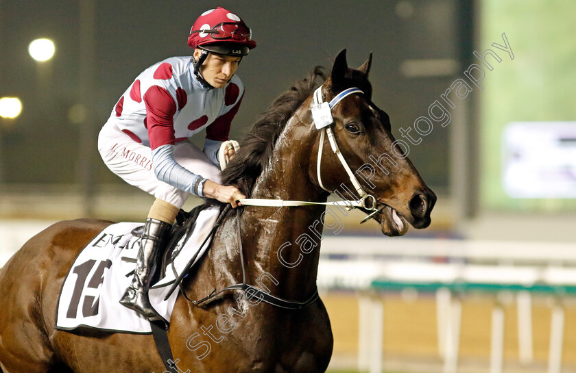 Meishar-0001 
 MEISHAR (Luke Morris) 
Meydan 3 Feb 2023 - Pic Steven Cargill / Racingfotos.com