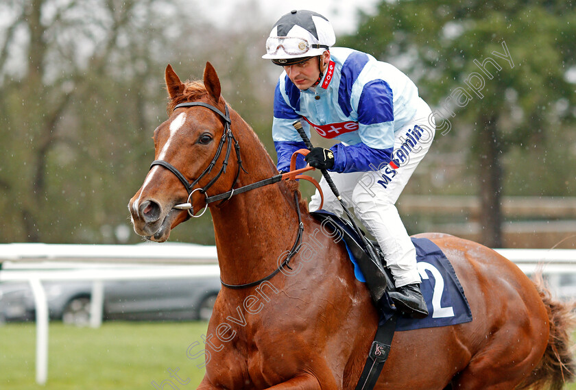 Dublin-Pharaoh-0003 
 DUBLIN PHARAOH (Andrea Atzeni) winner of The Ladbrokes Home Of The Odds Boost Novice Stakes
Lingfield 15 Feb 2020 - Pic Steven Cargill / Racingfotos.com