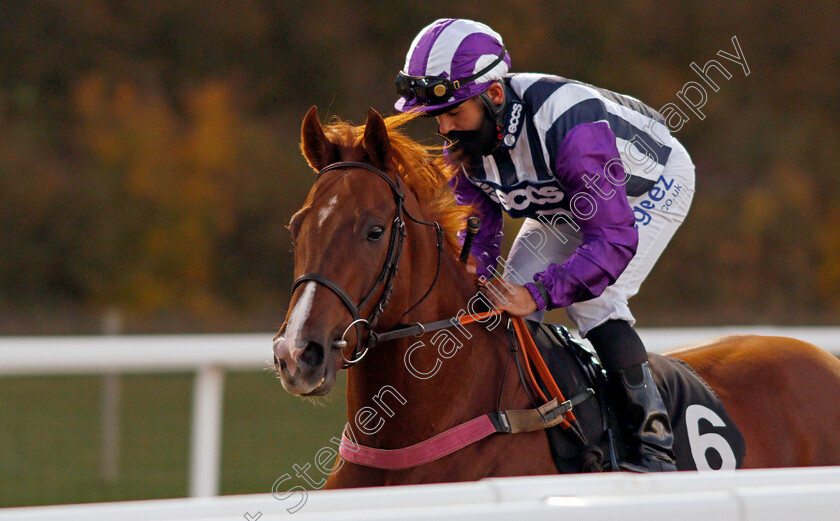 High-Class-Affair-0001 
 HIGH CLASS AFFAIR (Marco Ghiani)
Chelmsford 22 Oct 2020 - Pic Steven Cargill / Racingfotos.com