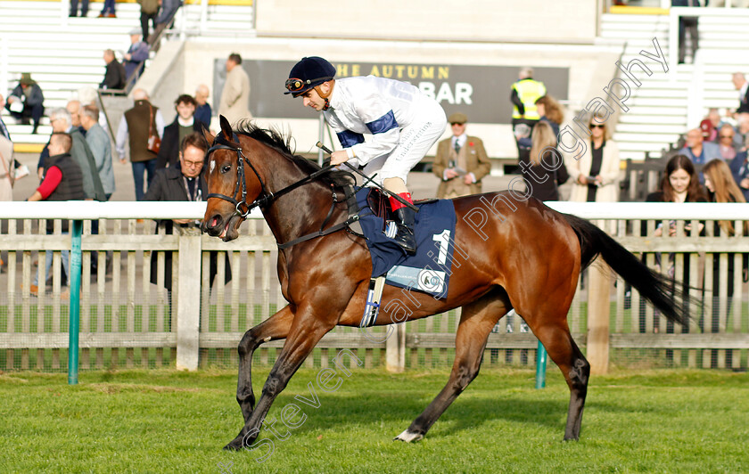 All-The-Time-0001 
 ALL THE TIME (Andrea Atzeni)
Newmarket 28 Oct 2022 - Pic Steven Cargill / Racingfotos.com