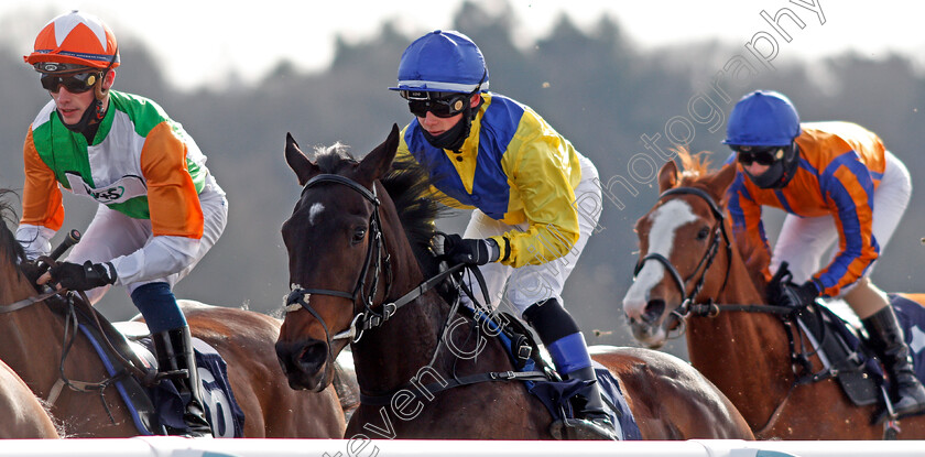 Moohareeba-0003 
 MOOHAREEBA (Benoit de la Sayette)
Lingfield 13 Feb 2021 - Pic Steven Cargill / Racingfotos.com