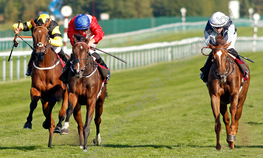 Persist-0005 
 PERSIST (2nd left, Tom Marquand) beats ANGELS LANDING (left) and TERRA MITICA (right) in The British EBF Reprocolor Premier Fillies Handicap
Haydock 1 Sep 2022 - Pic Steven Cargill / Racingfotos.com