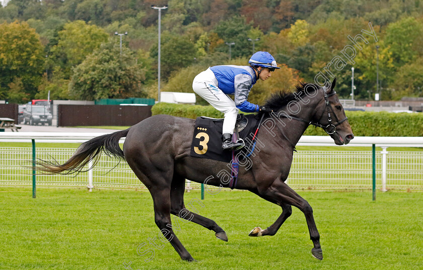 Cuban-Fiesta-0002 
 CUBAN FIESTA (Morgan Cole)
Nottingham 11 Oct 2023 - Pic Steven Cargill / Racingfotos.com